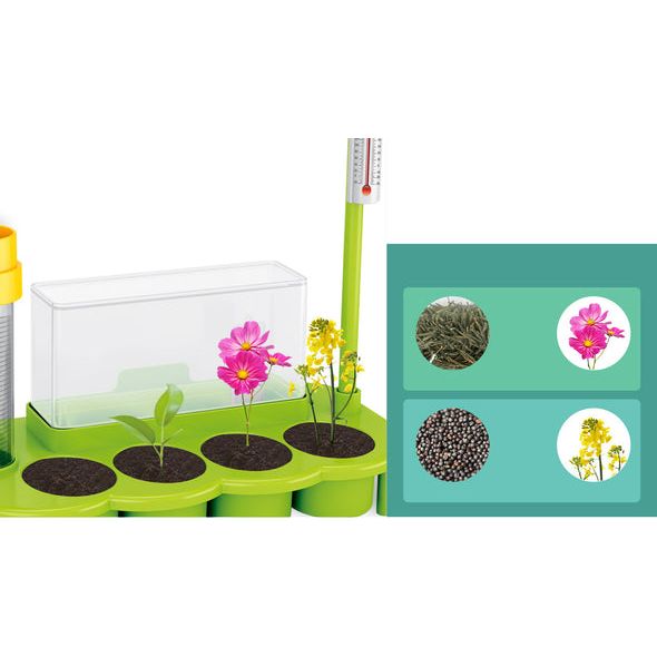 Stem Weather Station Kit | Science Experiment Kit For Kids | Plant Growth & Climate Observation