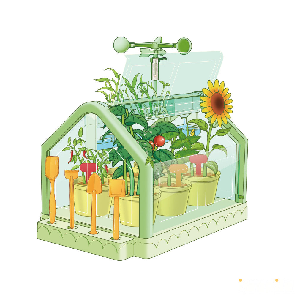 Planting Sunlight Room Green House | Sunlight Room Toy For Kids