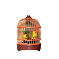 Wisdom Speaking Bird | Sound & Light Toy