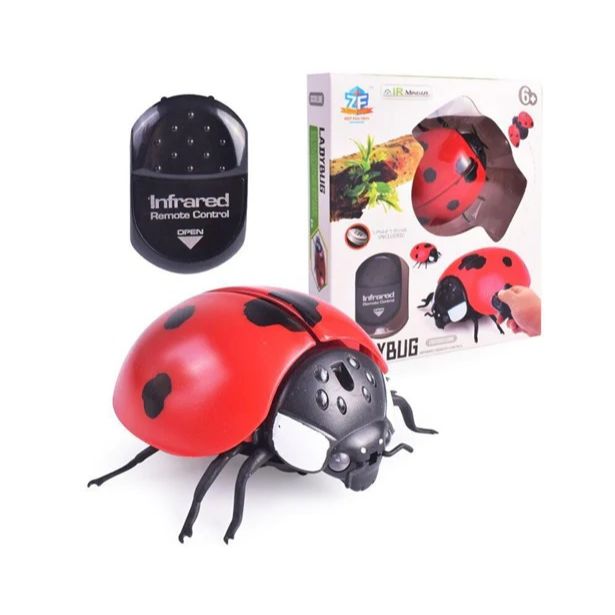Remote Control Lady Bug | INFRARED RC Spooky Insect – The Toy Factory