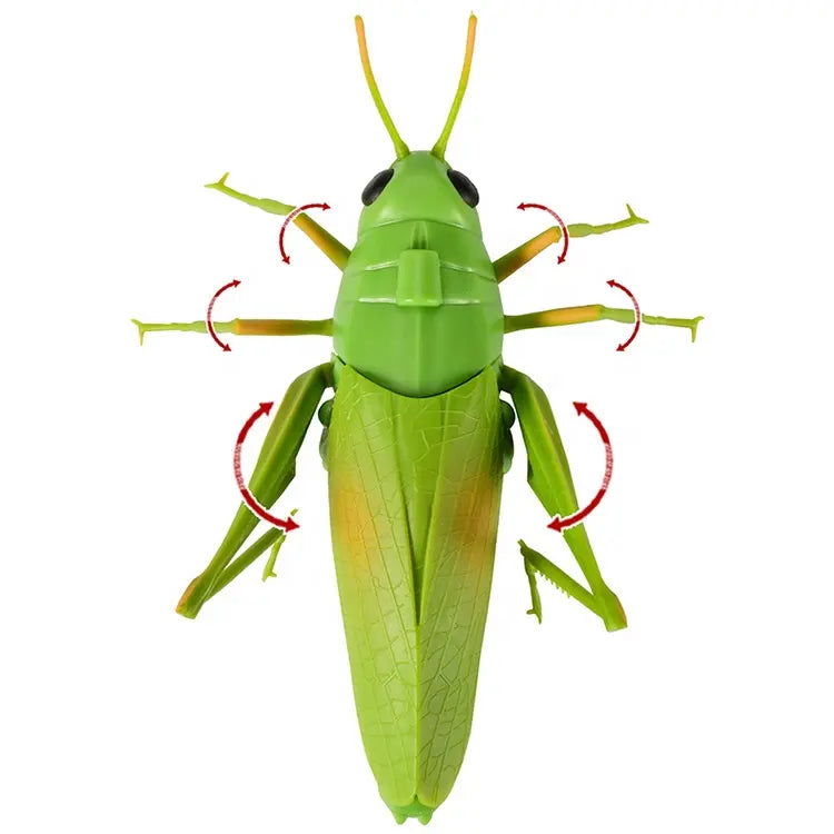 Remote Control Grass Hopper | INFRARED RC | Spooky Insect – The Toy Factory