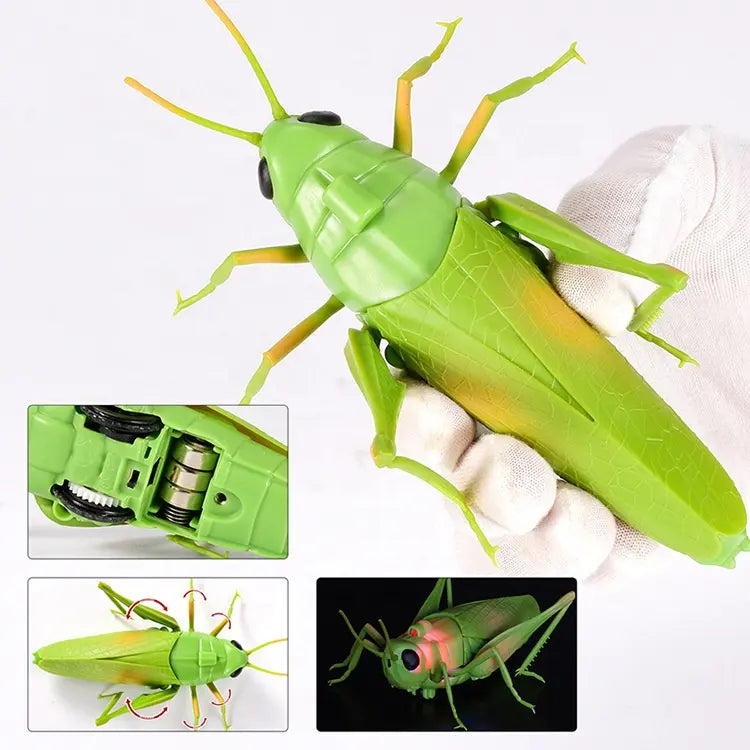 Remote Control Grass Hopper | INFRARED RC | Spooky Insect – The Toy Factory