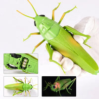 Remote Control Grass Hopper | INFRARED RC | Spooky Insect