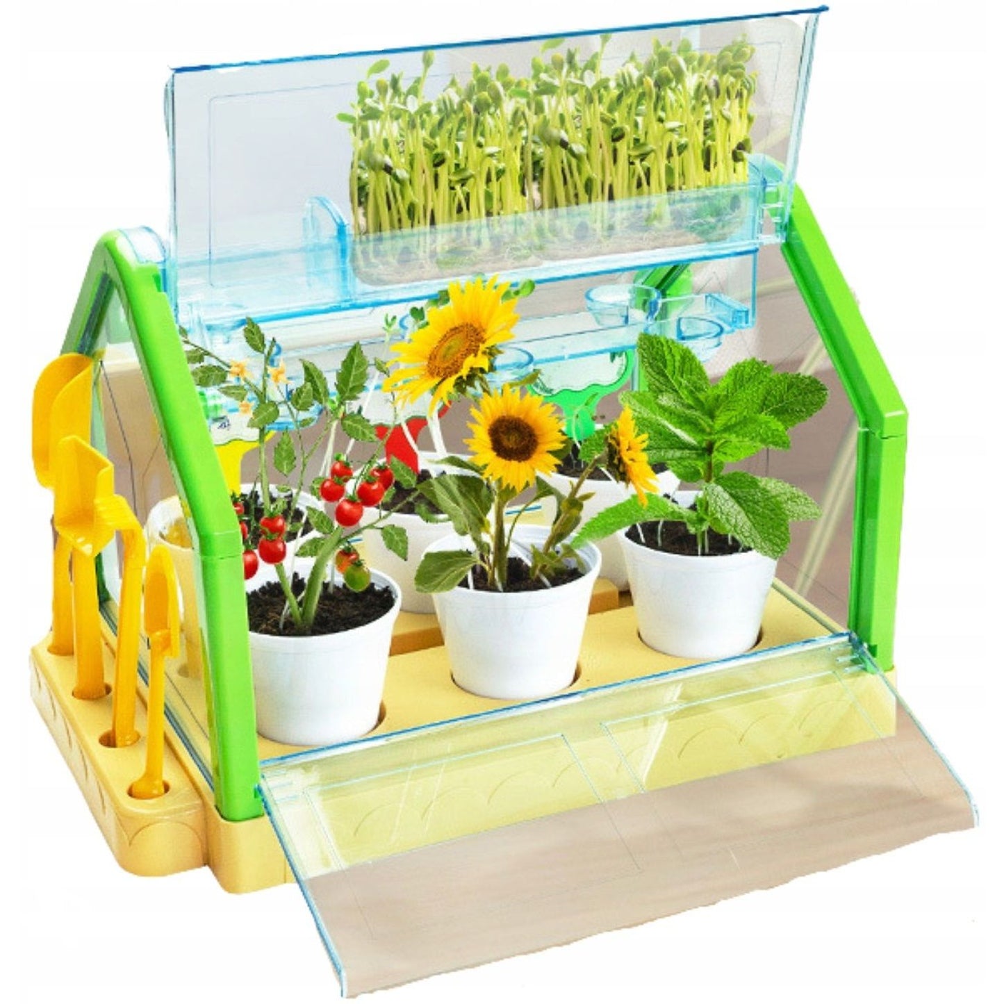 Planting Sunlight Room Green House | Sunlight Room Toy For Kids