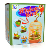 Wisdom Speaking Bird | Sound & Light Toy