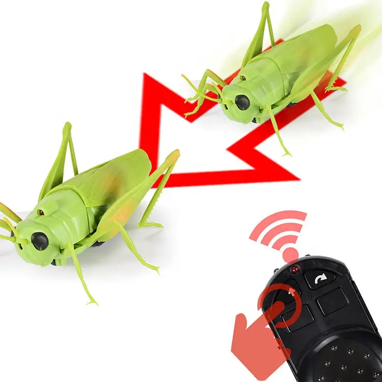 Remote Control Grass Hopper | INFRARED RC | Spooky Insect – The Toy Factory