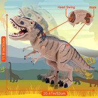 Remote Control Tyrannosaurus Rex Toy With Light & Sound Effects 