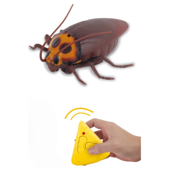 Remote Control Realistic Cockroach | 360 Rotating Creepy RC Cockroach